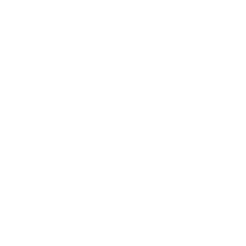 portfólio